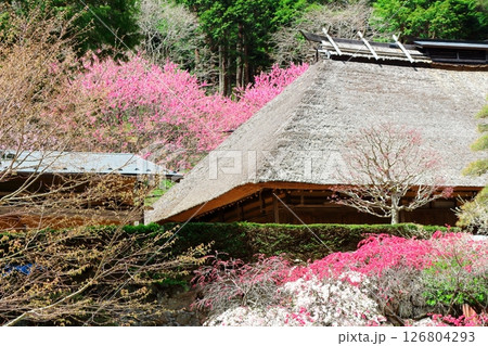 旧木下家住宅 駒ヶ根市 信州の風景 旧木下家住宅 駒ヶ根市 信州の風景 126804293
