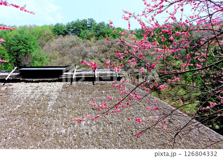 旧木下家住宅 駒ヶ根市 信州の風景 旧木下家住宅 駒ヶ根市 信州の風景 126804332