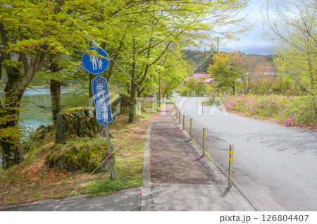 【蓼科湖】新緑の遊歩道【茅野市】 126804407
