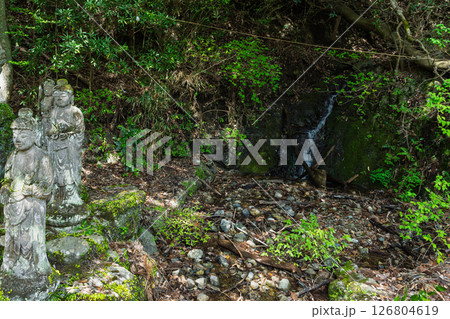 ううららかな春日和に映える境内風景　「不動尊一心寺の桜(大分県)」 126804619
