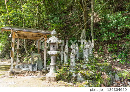 ううららかな春日和に映える境内風景　「不動尊一心寺の桜(大分県)」 126804620