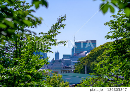 新緑のフレームから見える福岡タワーやドーム 126805847