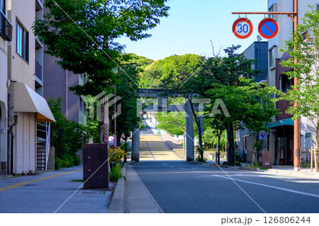 福岡市中央区荒戸西公園入口方面の景色　道路改装中の西公園前の鳥居 126806244