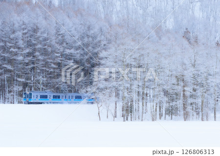 樹氷の背後から現れる大糸線 126806313