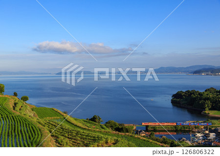 大村湾と棚田のなかで大村線の気動車を遠望する 126806322