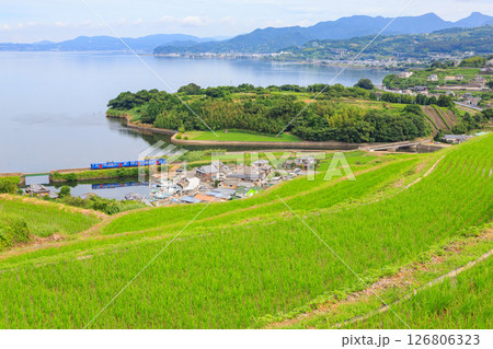 江の串の棚田から大村湾を望む 126806323