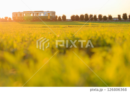 暖かい陽射しを感じる冬の日のひたちなか海浜鉄道 126806368