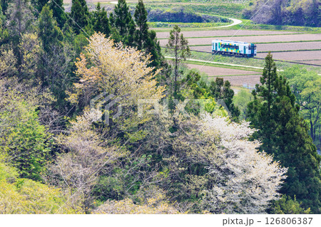 丘の上から桜とともに眺める由利高原鉄道 丘の上から桜とともに眺める由利高原鉄道 126806387