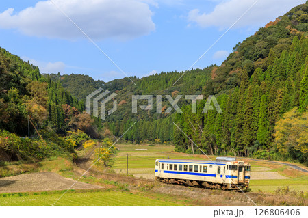 紅葉に包まれた中福良カーブを抜ける肥薩線の気動車 126806406