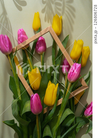 Multicolored fresh tulips in wooden picture frame in green background with trendy deep shadows. Spring flowers in yellow and violet colors. Postcard wallpaper design Multicolored fresh tulips in wooden picture frame in green background with trendy deep shadows. Spring flowers in yellow and violet colors. Postcard wallpaper design 126806728