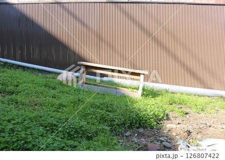 （若狭高浜）06011612 126807422