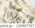 夏の砂浜に打ち上げられたヒトデと貝殻 126807587