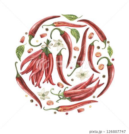 Round composition of red chili pepper, green leaves, flowers, seeds, slices. Watercolor illustration is hand-drawn in botanical style. For poster design, cafe, menu, logo, kitchen, postcards, textile Round composition of red chili pepper, green leaves, flowers, seeds, slices. Watercolor illustration is hand-drawn in botanical style. For poster design, cafe, menu, logo, kitchen, postcards, textile 126807747