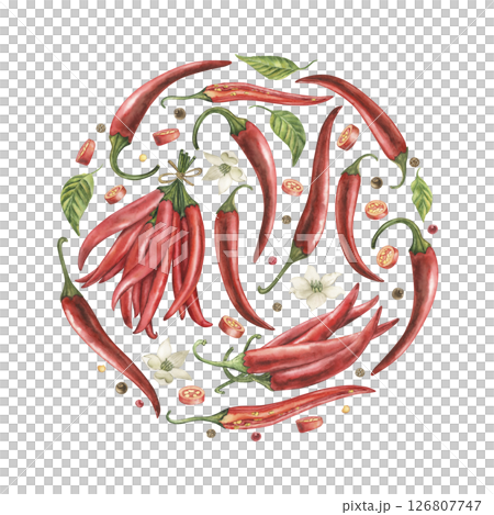 Round composition of red chili pepper, green leaves, flowers, seeds, slices. Watercolor illustration is hand-drawn in botanical style. For poster design, cafe, menu, logo, kitchen, postcards, textile Round composition of red chili pepper, green leaves, flowers, seeds, slices. Watercolor illustration is hand-drawn in botanical style. For poster design, cafe, menu, logo, kitchen, postcards, textile 126807747