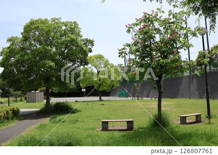 釜利谷中央公園(横浜市金沢区) 釜利谷中央公園(横浜市金沢区) 126807761