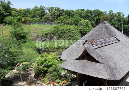金沢八景権現山公園 126807763