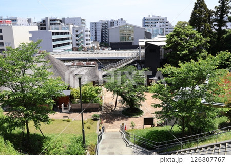 権現山公園から見下ろす京浜急行電鉄・金沢八景駅 126807767