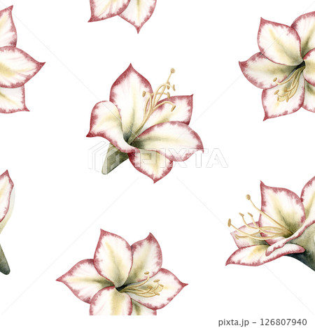 Winter Amaryllis flowers watercolor seamless pattern in botanical style. Simple white red green Hippeastrum winter plant repeat background for Christmas holidays designs Winter Amaryllis flowers watercolor seamless pattern in botanical style. Simple white red green Hippeastrum winter plant repeat background for Christmas holidays designs 126807940