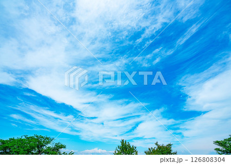 青空と雲と木立 青空と雲と木立 126808304