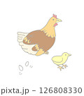 ニワトリとヒヨコとたまご ニワトリとヒヨコとたまご 126808330