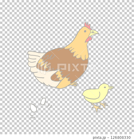 雞、小雞和雞蛋 雞、小雞和雞蛋 126808330