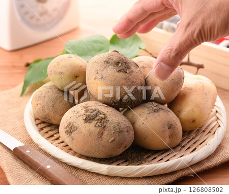 収穫したてのジャガイモ 126808502