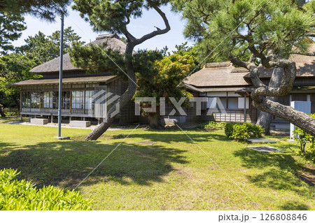 横浜市金沢区野島公園の伊東博文別邸の初夏 126808846