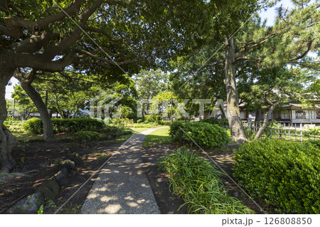 横浜市金沢区野島公園の伊東博文別邸の初夏 横浜市金沢区野島公園の伊東博文別邸の初夏 126808850