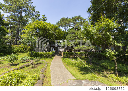 横浜市金沢区野島公園の伊東博文別邸の初夏 126808852