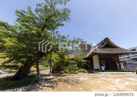 旧円通寺客殿の初夏 126809039
