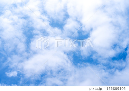 初夏の空 青空 空 6月 初夏の空 青空 空 6月 126809103