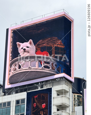The famous 3D dog 126809196