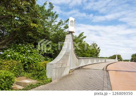 八景島の初夏の紫陽花 八景島の初夏の紫陽花 126809350