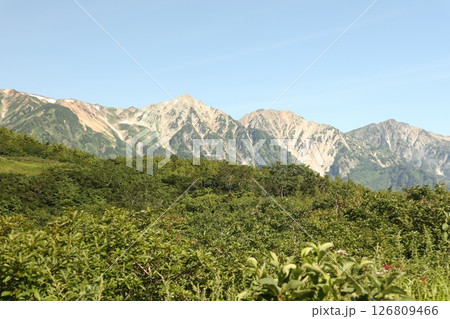 草原の向こうに見える夏の白馬三山 126809466