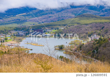 雨上がりの白樺湖【茅野市】 126809591