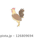 雄鶏 雄鶏 126809694