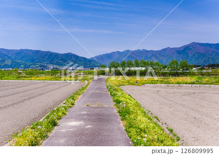 春の晴れた日の散歩道 松本市 春の晴れた日の散歩道 松本市 126809995