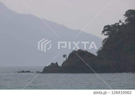 (高浜)06011744 (高浜)06011744 126810062