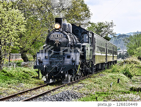 真岡鉄道の蒸気機関車 真岡鉄道の蒸気機関車 126810449