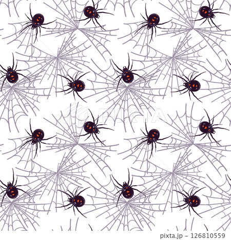 Spider black widow Latrodectus occidentalis hangs on a web. Black spider with red spots in flat style. Dangerous poisonous insect on a white background. Vector seamless pattern for Halloween. Spider black widow Latrodectus occidentalis hangs on a web. Black spider with red spots in flat style. Dangerous poisonous insect on a white background. Vector seamless pattern for Halloween. 126810559