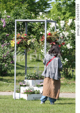 札幌花名所 川下公園 ライラック リラ 札幌市の花 札幌花名所 川下公園 ライラック リラ 札幌市の花 126810703