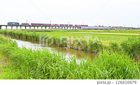 鹿島線の貨物列車 鹿島線の貨物列車 126810879