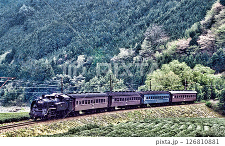 大井川鉄道の蒸気機関車 126810881