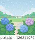 梅雨の庭に咲く紫陽花と雨 126811079