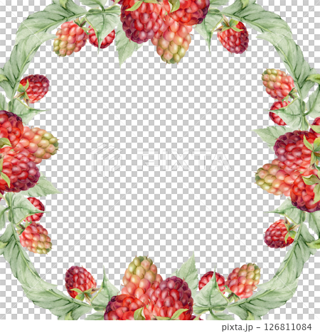Raspberry ripe garden berries leaves. Dewberry cloudberry mulberry loganberry tayberry boysenberry hand drawn in watercolor. Isolated square border frame illustration. Wedding stationery, florist shop 126811084