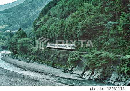 大井川鉄道の電車 126811184