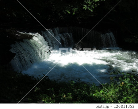 サクラマスの滝登りが見られる北海道清里町のさくらの滝 126811352
