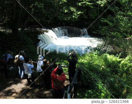 サクラマスの滝登りが見られる北海道清里町のさくらの滝 126811366
