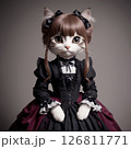 ゴシック服の猫 126811771