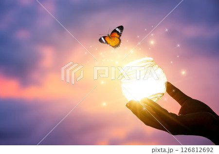flying butterfly and  hands on abstract sunny natural background. end of summer concept. freedom. encounter man and nature. harmony, peaceful atmosphere landscape 126812692